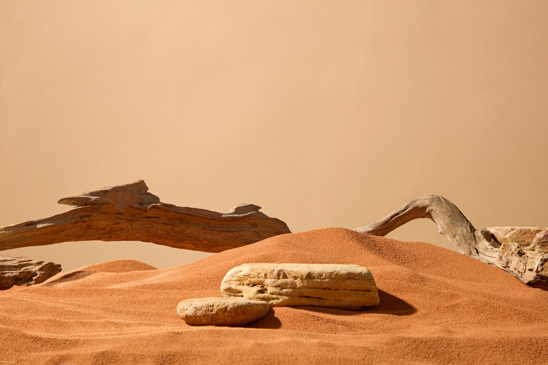 Rough-surfaced boulders set in a sand field