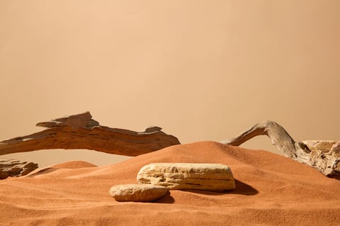 Rough-surfaced boulders set in a sand field