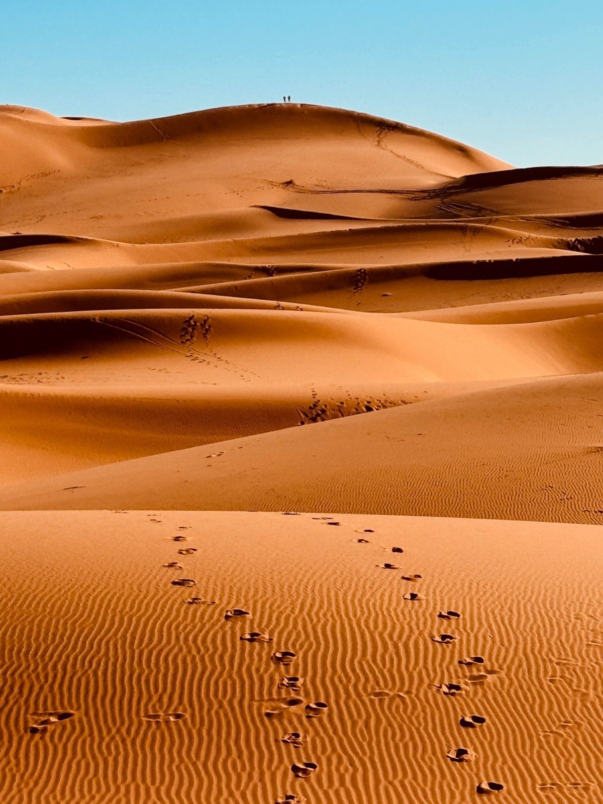 Sahara Desert landscape merzouga